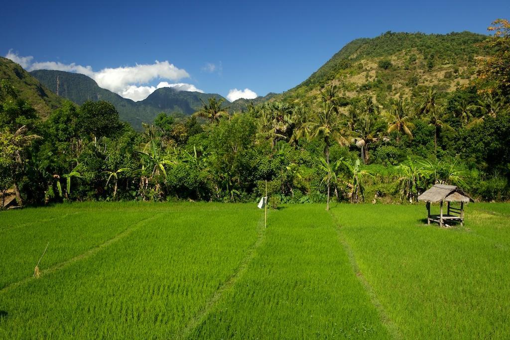 Villa The Kampung Amed Esterno foto